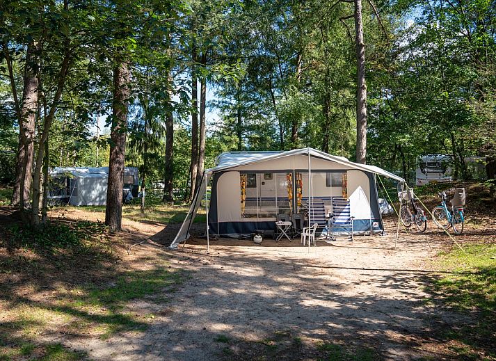 Unterkunft 3264128 - Mobilheim Veluwe - Rabbit Hill | Comfort campingplaats | C16+