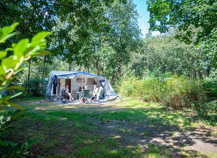 Unterkunft 3264128 - Mobilheim Veluwe - Rabbit Hill | Comfort campingplaats | C16+
