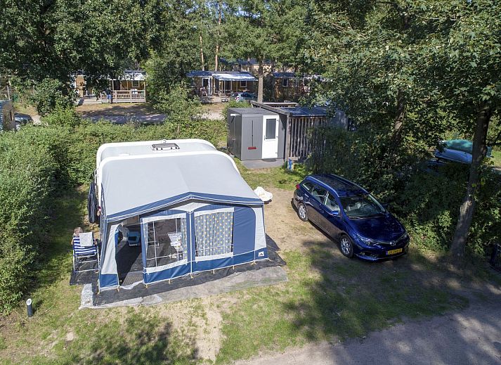 Unterkunft 3264129 - Mobilheim Veluwe - Rabbit Hill | Luxe campingplaats | CS16+