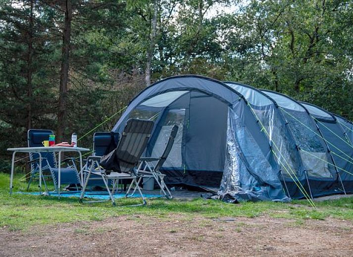 Guest house 326427 • Fixed travel trailer Veluwe • Rabbit Hill | Comfort campingplaats | C10+ 