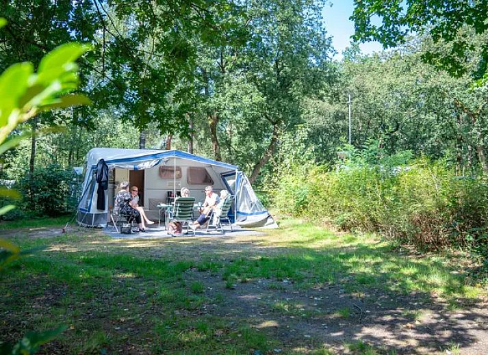 Comfort campingplaats C16 op Rabbit Hill, Nieuw Milligen, Veluwe, Gelderland met stacaravan en bomen.