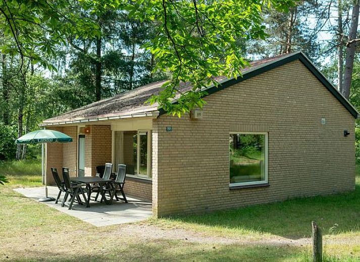 Bungalow Rabbit Hill 6B in Nieuw Milligen, Veluwe met terras en groene omgeving.