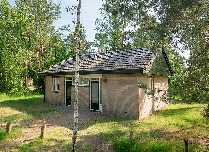 Unterkunft 326431 - Bungalow Veluwe - Rabbit Hill | 6-persoons bungalow | 6C