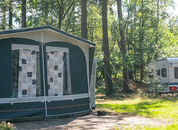 Verblijf 326433 • Stacaravan Veluwe • Rabbit Hill | Luxe campingplaats | CS16+