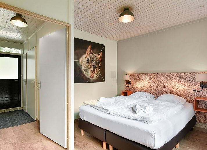 Moderne keuken in Rabbit Hill 4-persoons bungalow, Nieuw Milligen, Veluwe.