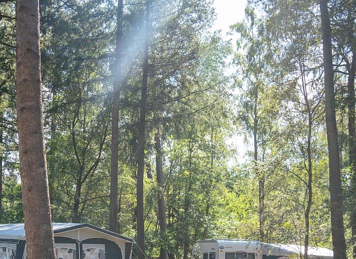 Guest house 326435 • Fixed travel trailer Veluwe • Rabbit Hill | Comfort campingplaats | C16+ 