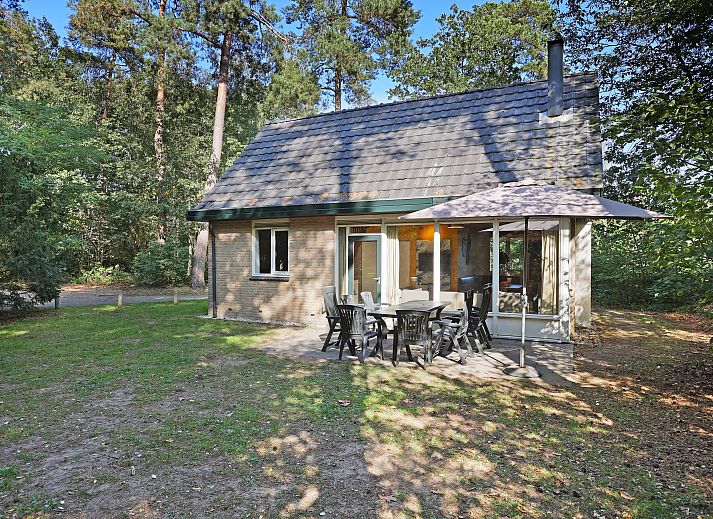 Buitenzijde van Rabbit Hill 8-persoons bungalow 8C in Nieuw Milligen, Veluwe, Gelderland met terras en bosrijke omgeving.