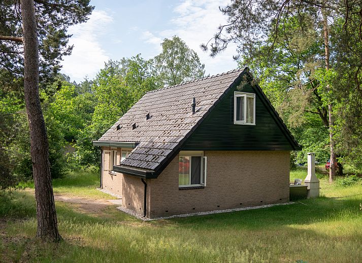 Essecke im Ferienhaus Rabbit Hill mit Blick auf die Veluwe-Waelder in Nieuw Milligen.