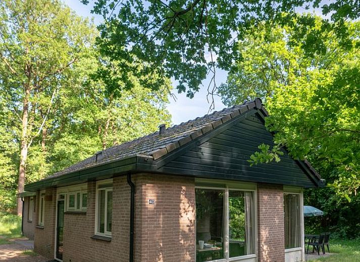 Unterkunft 326451 • Bungalow Veluwe • Rabbit Hill | 4-persoons bungalow | 4B