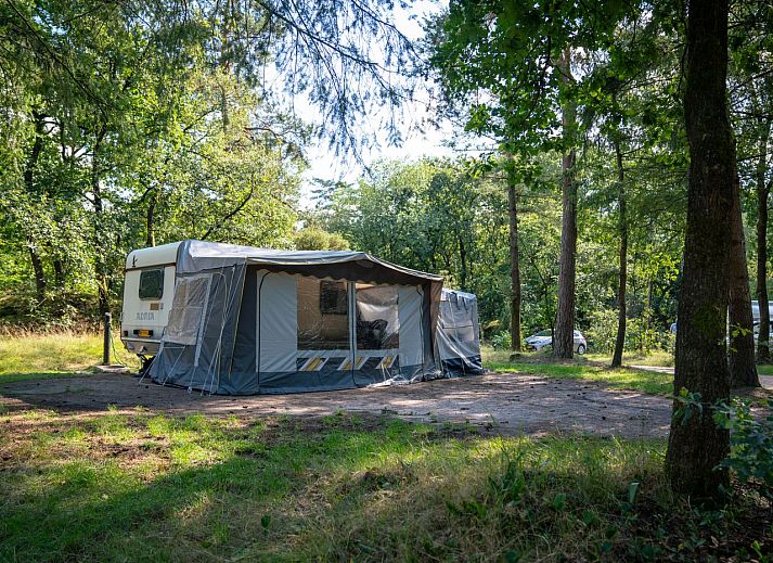 Unterkunft 326456 - Mobilheim Veluwe - Rabbit Hill | Luxe campingplaats | C16L
