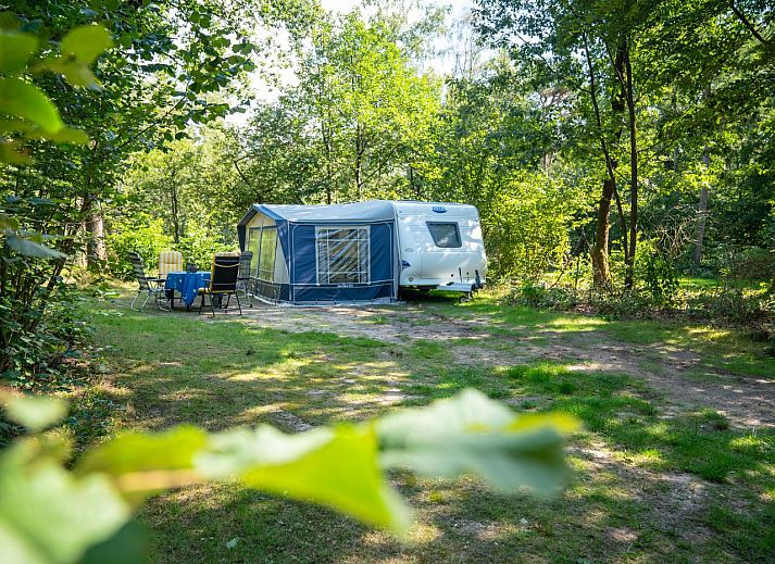 Unterkunft 326456 - Mobilheim Veluwe - Rabbit Hill | Luxe campingplaats | C16L