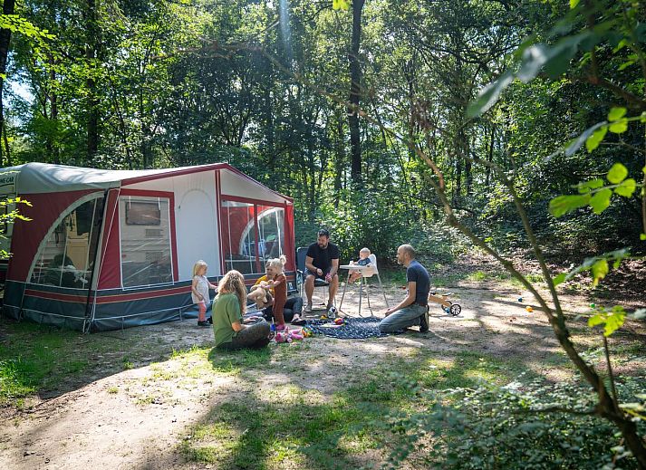 Unterkunft 326456 - Mobilheim Veluwe - Rabbit Hill | Luxe campingplaats | C16L