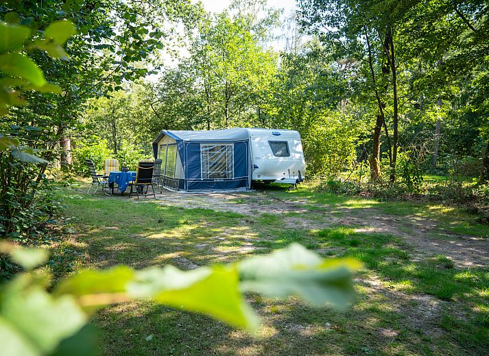 Unterkunft 326456 - Mobilheim Veluwe - Rabbit Hill | Luxe campingplaats | C16L