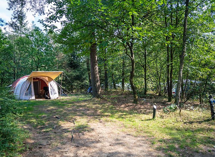 Unterkunft 326492 - Mobilheim Veluwe - Rabbit Hill | Comfort campingplaats | C10+