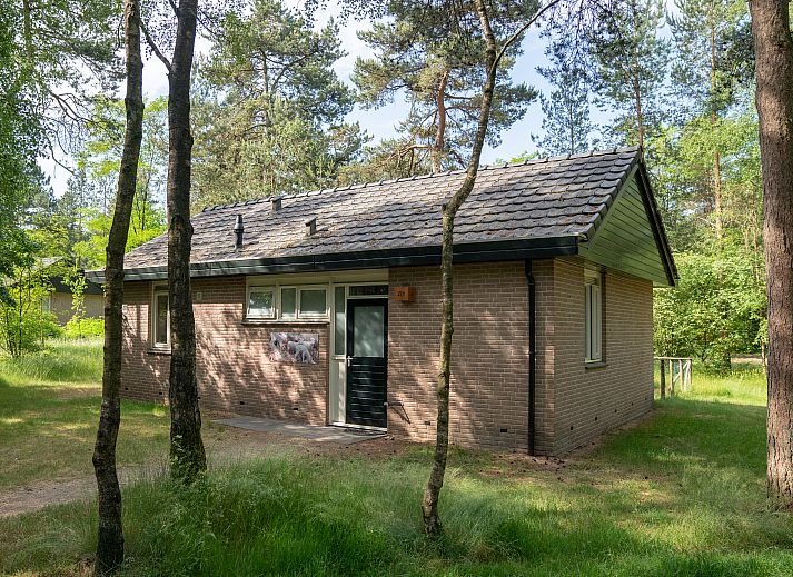 Unterkunft 326498 - Bungalow Veluwe - Rabbit Hill | 4-persoons babybungalow | 4CN