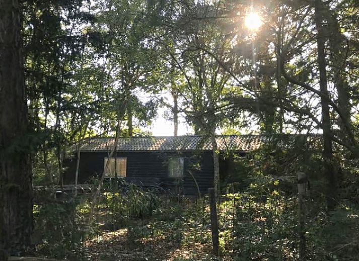 Ferienhaus in Nijkerk, umgeben von der Veluwe-Natur in Gelderland.