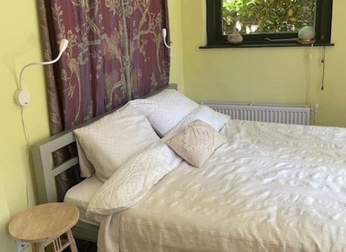 Galoppierende Pferde bei Ferienhaus in Nijkerk, Veluwe.