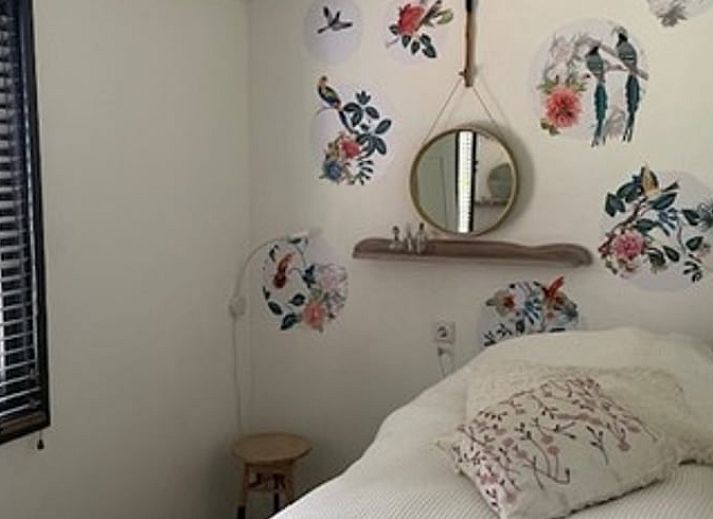 Galoppierende Pferde bei Ferienhaus in Nijkerk, Veluwe.