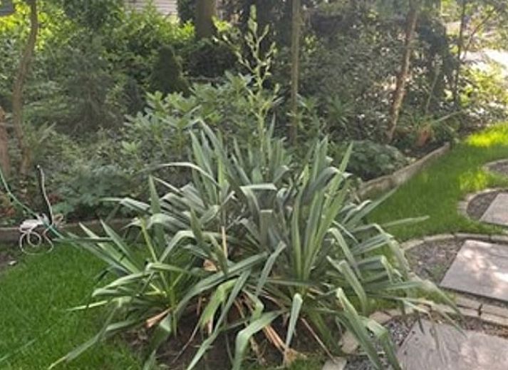 Gemuetliches Wohnzimmer im Ferienhaus in Nijkerk, Veluwe, mit rustikalen Moebeln.