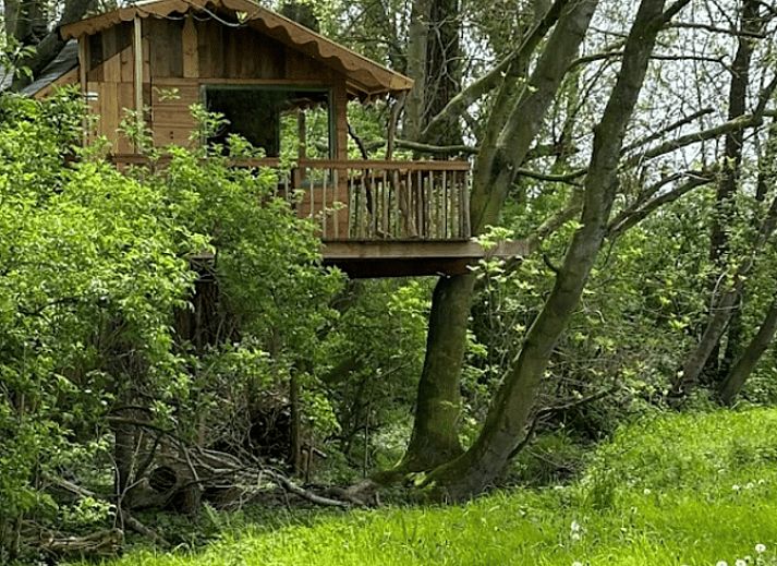 Unterkunft 3265106 - Ferienhaus Veluwe - Vakantiehuis in Nijkerk