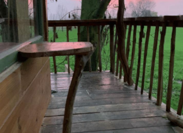 Unterkunft 3265106 - Ferienhaus Veluwe - Vakantiehuis in Nijkerk