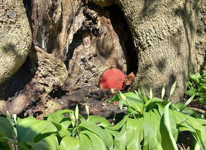 Gemuetliches Interieur eines Ferienhauses in Nijkerk, Veluwe, mit Holzausstattung.