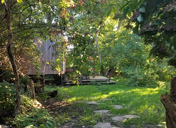 Atemberaubender Sonnenuntergang am Ferienhaus in Nijkerk, Veluwe, Gelderland.