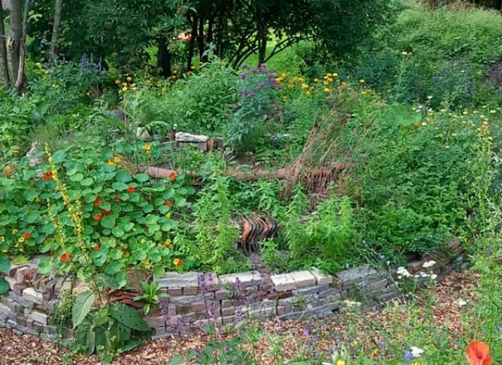 Atemberaubender Sonnenuntergang am Ferienhaus in Nijkerk, Veluwe, Gelderland.