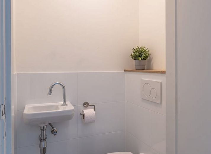 Terrace of Cottage in Nijkerk, vacation home in the nature of Veluwe, Gelderland.