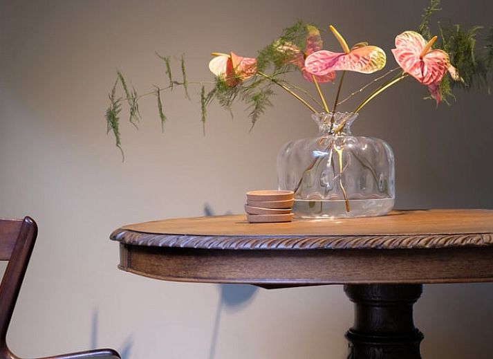 Gezellige woonkamer met houtkachel in Vakantiehuisje in Nijkerk, Veluwe, Gelderland.