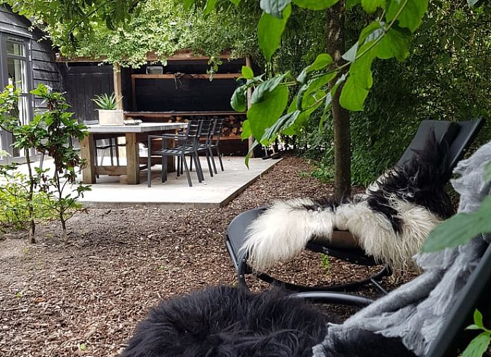 Stijlvolle eetkamertafel met bloemen in Vakantiehuisje in Nijkerk, Veluwe, Gelderland.