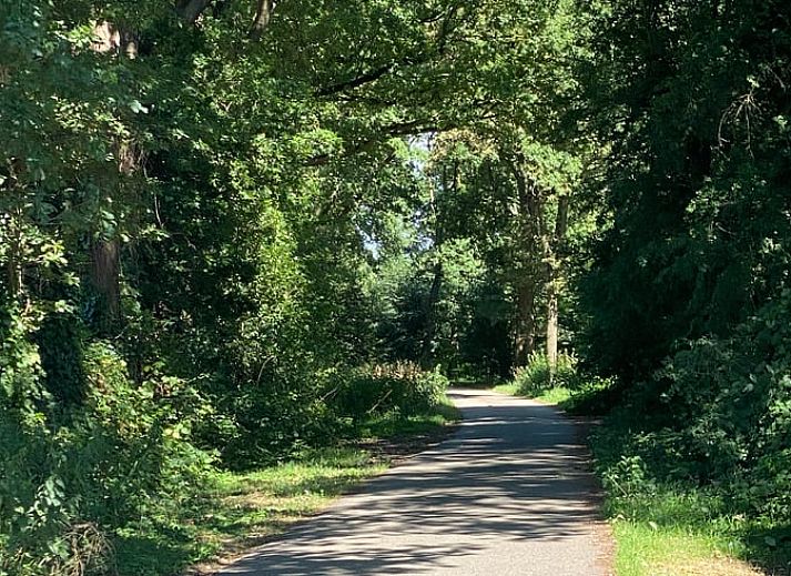 Unterkunft 326528 - Ferienhaus Veluwe - Huisje in Nijkerk