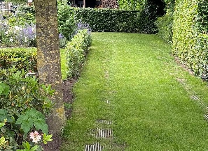 Buitenterras van Vakantiehuisje in Kootwijkerbroek, Veluwe, met zitje en parasol in een groene omgeving.