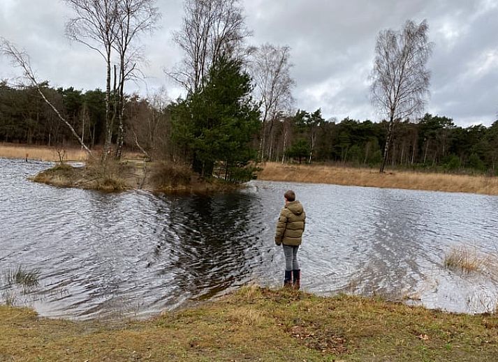 Zonnige serre van Vakantiehuisje in Kootwijkerbroek, Veluwe, met uitzicht op de tuin en comfortabele stoelen.