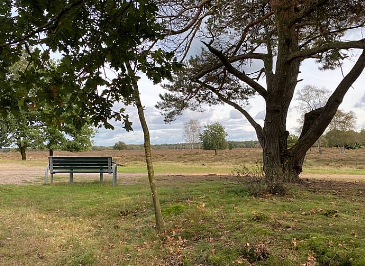 Zonnige serre van Vakantiehuisje in Kootwijkerbroek, Veluwe, met uitzicht op de tuin en comfortabele stoelen.