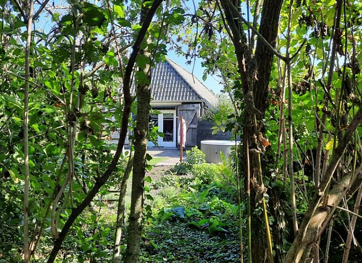 Guest house 326707 - Holiday property Veluwe - Vakantiehuis in Kootwijkerbroek