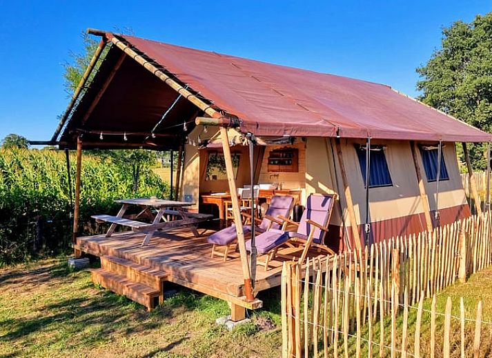 Schapen grazen rond het Vakantiehuis in Klarenbeek, een tenthuis op de Veluwe, Gelderland.