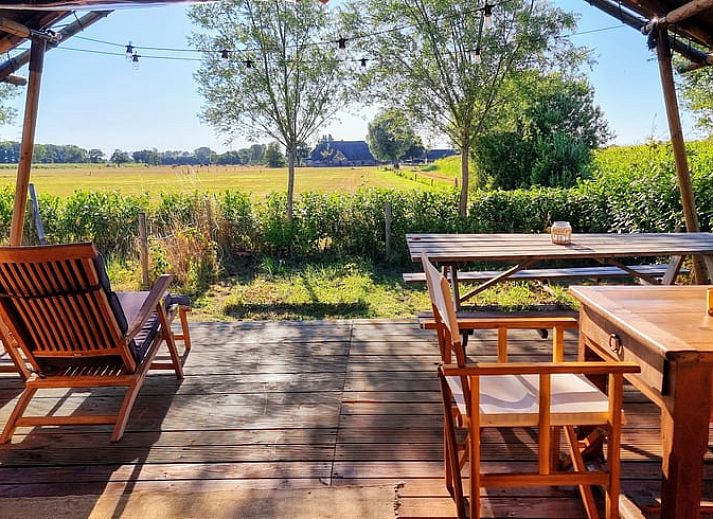 Schapen grazen rond het Vakantiehuis in Klarenbeek, een tenthuis op de Veluwe, Gelderland.