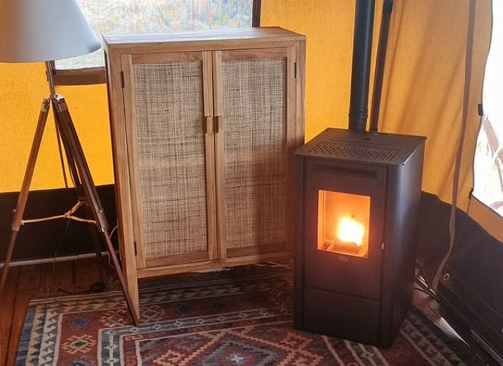 Schapen grazen rond het Vakantiehuis in Klarenbeek, een tenthuis op de Veluwe, Gelderland.