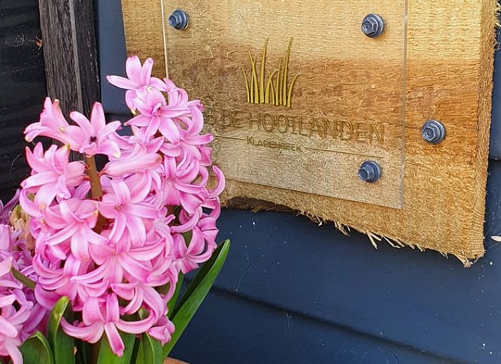 Unterkunft 326804 - Ferienhaus Veluwe - Vakantiehuis in Klarenbeek