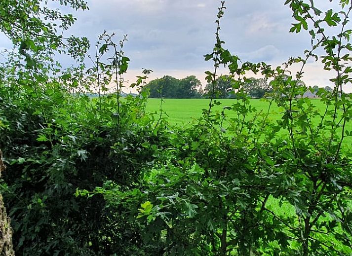 Unterkunft 326804 - Ferienhaus Veluwe - Vakantiehuis in Klarenbeek