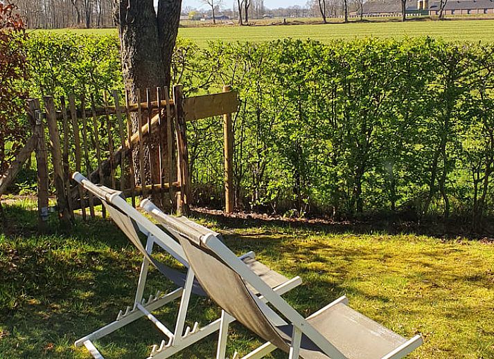 Unterkunft 326804 - Ferienhaus Veluwe - Vakantiehuis in Klarenbeek