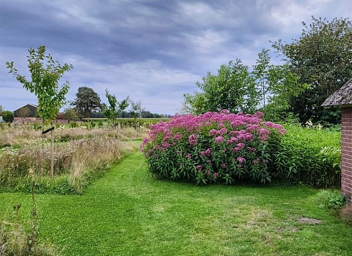 Unterkunft 326805 - Ferienhaus Veluwe - Huisje in Klarenbeek