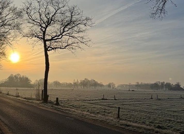 Unterkunft 326806 - Ferienhaus Veluwe - Huisje in Klarenbeek