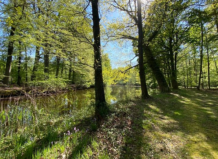 Ruime eetkamer in Huisje in Klarenbeek, Veluwe, ideaal voor familiediners in een vakantiehuis.