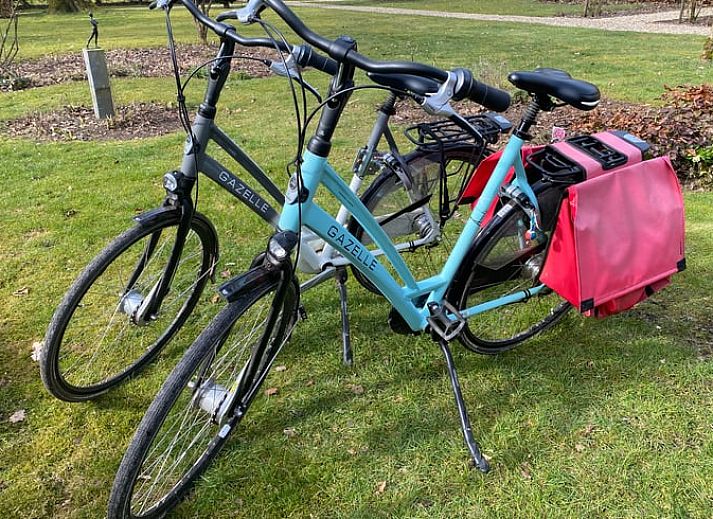 Moderne keukenapparatuur in Huisje in Klarenbeek, Veluwe, perfect voor koffieliefhebbers.