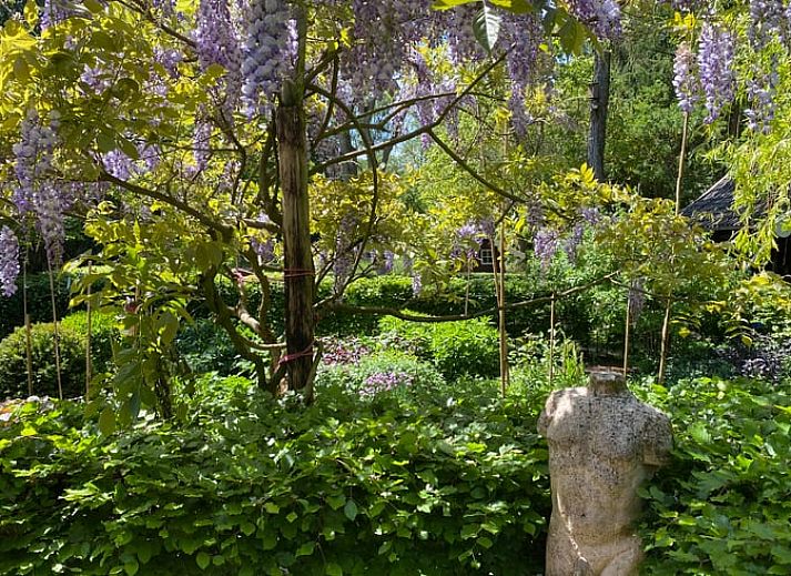 Moderne keukenapparatuur in Huisje in Klarenbeek, Veluwe, perfect voor koffieliefhebbers.