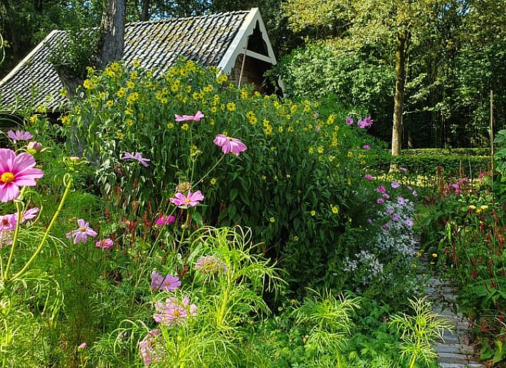 Moderne keukenapparatuur in Huisje in Klarenbeek, Veluwe, perfect voor koffieliefhebbers.