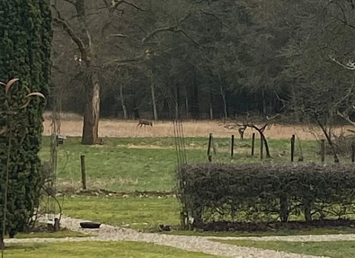 Moderne keukenapparatuur in Huisje in Klarenbeek, Veluwe, perfect voor koffieliefhebbers.