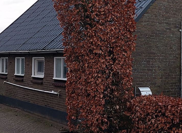 Ferienhaus in Klarenbeek, ein gemuetliches Ferienhaus in der Veluwe, Gelderland, umgeben von Natur und rustikalem Charme.